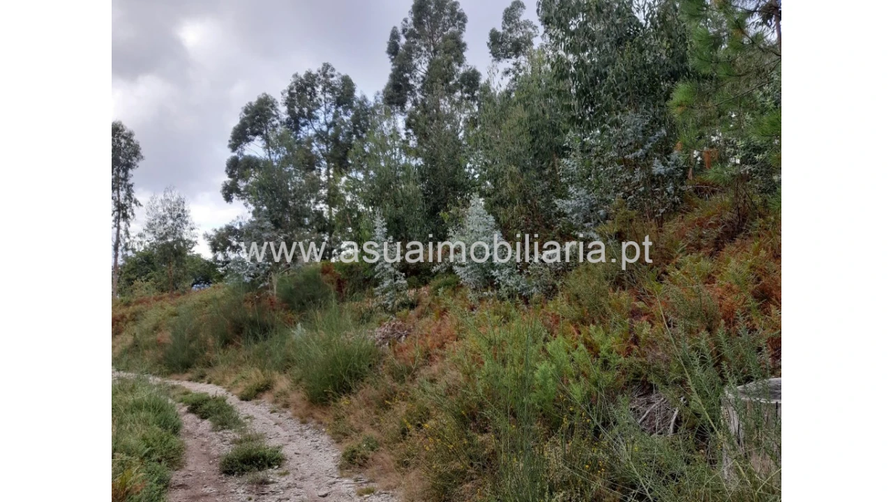 Terreno para Venda em Caldelas, Sequeiros e Paranhos Foto 3