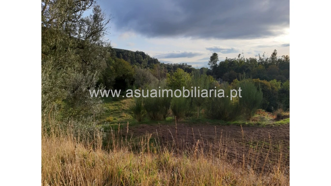 Terreno para Venda em Caldelas, Sequeiros e Paranhos Foto 38