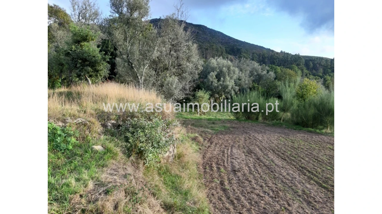 Terreno para Venda em Caldelas, Sequeiros e Paranhos Foto 39