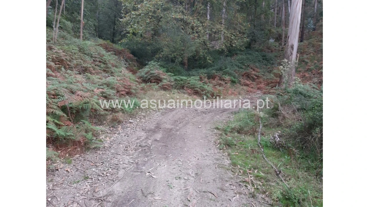 Terreno para Venda em Caldelas, Sequeiros e Paranhos Foto 12