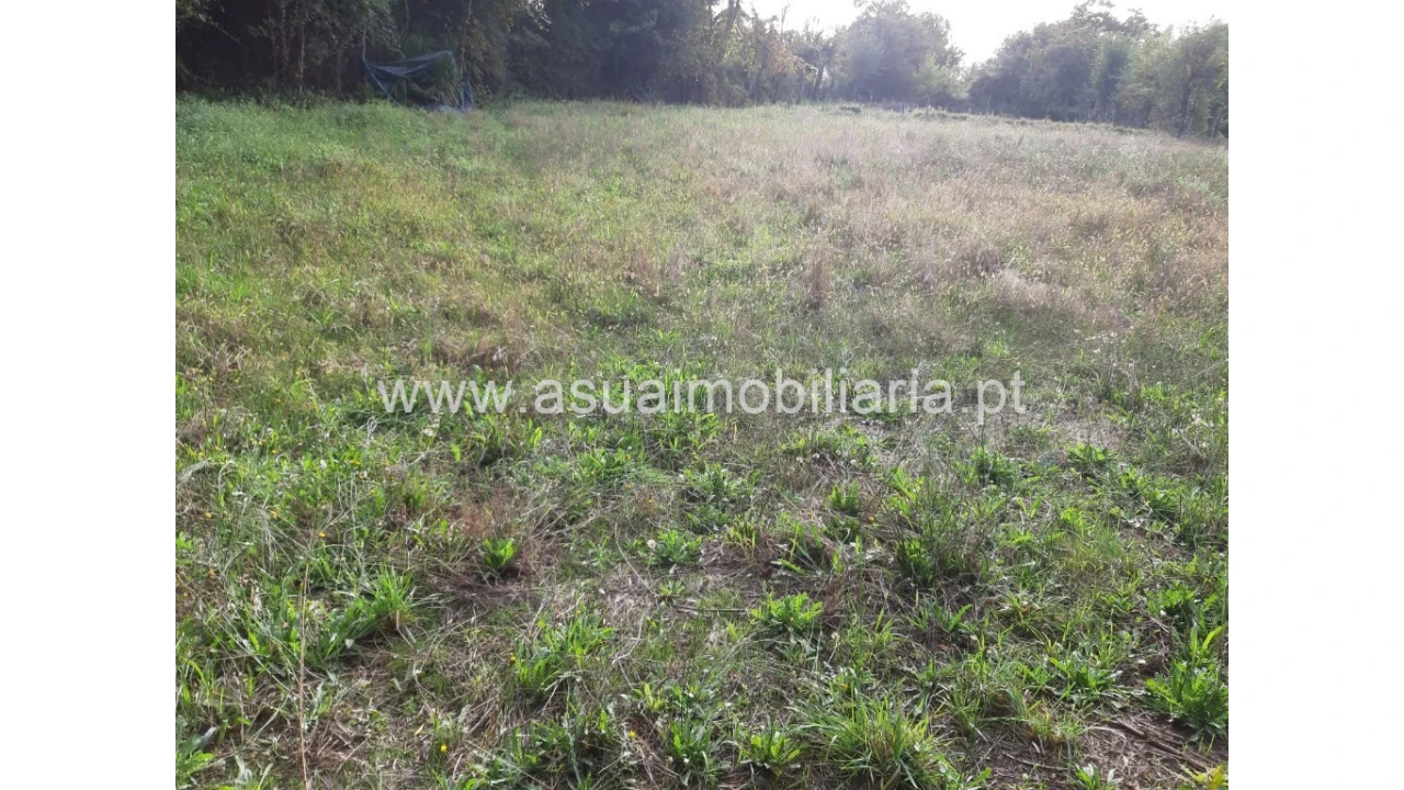 Terreno para Venda em Caldelas, Sequeiros e Paranhos Foto 30