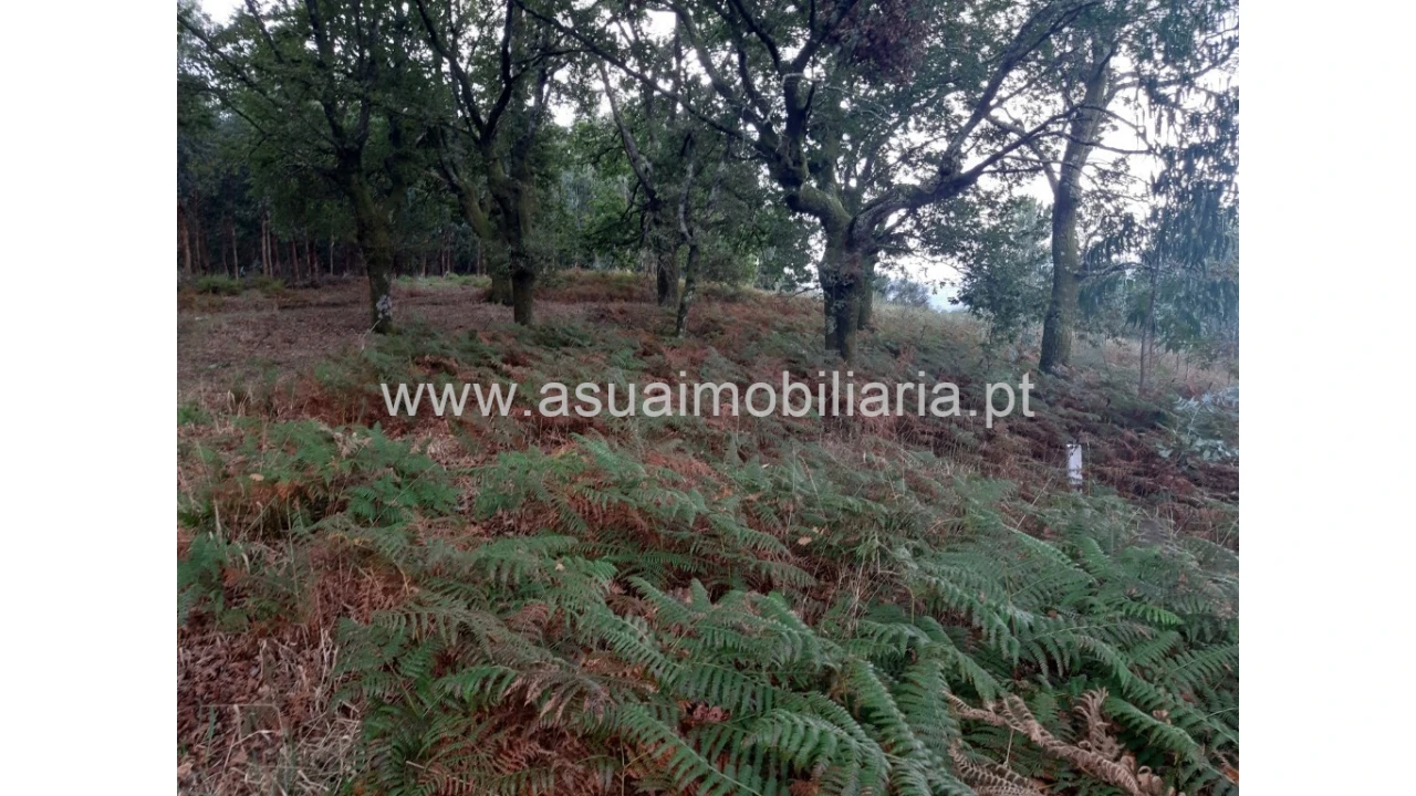 Terreno para Venda em Caldelas, Sequeiros e Paranhos Foto 20