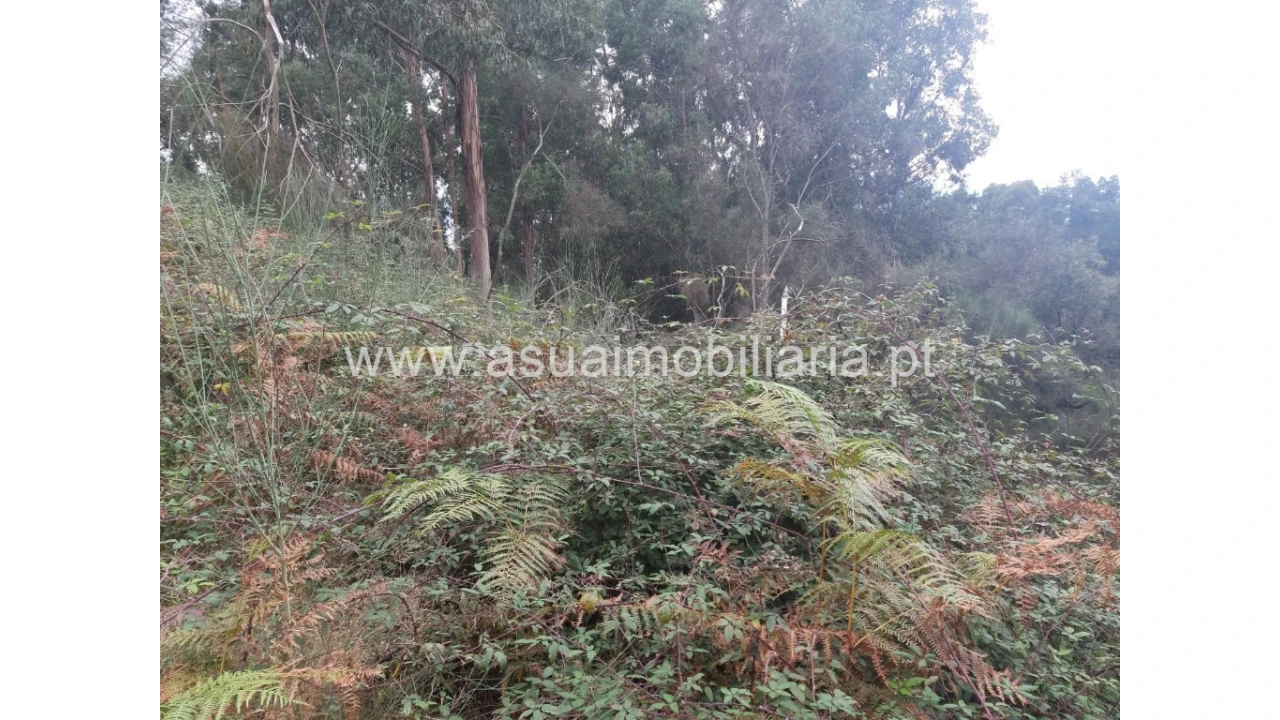 Terreno para Venda em Caldelas, Sequeiros e Paranhos Foto 13