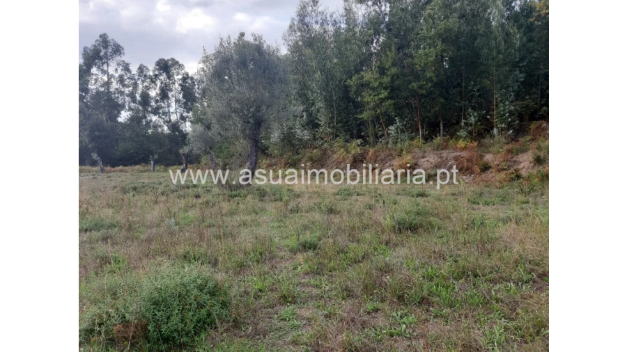 Terreno para Venda em Caldelas, Sequeiros e Paranhos Foto 27