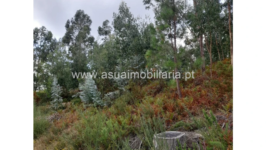 Terreno para Venda em Caldelas, Sequeiros e Paranhos