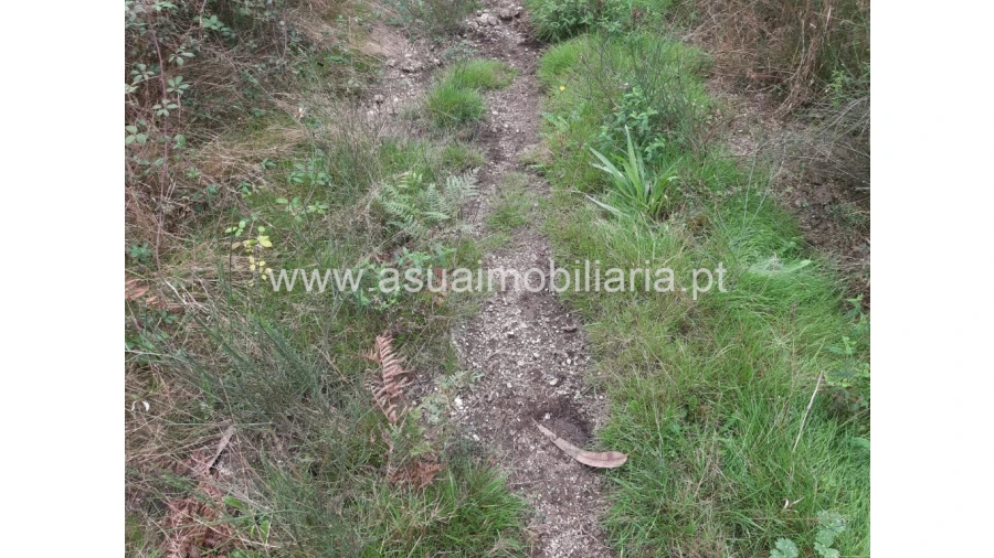 Terreno para Venda em Caldelas, Sequeiros e Paranhos Foto 15