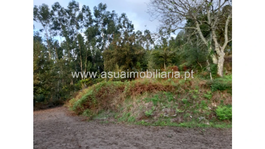 Terreno para Venda em Caldelas, Sequeiros e Paranhos Foto 40