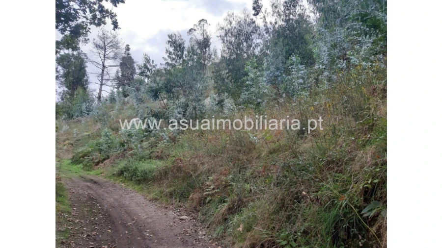 Terreno para Venda em Caldelas, Sequeiros e Paranhos Foto 10