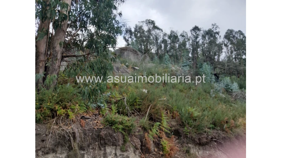 Terreno para Venda em Caldelas, Sequeiros e Paranhos Foto 9