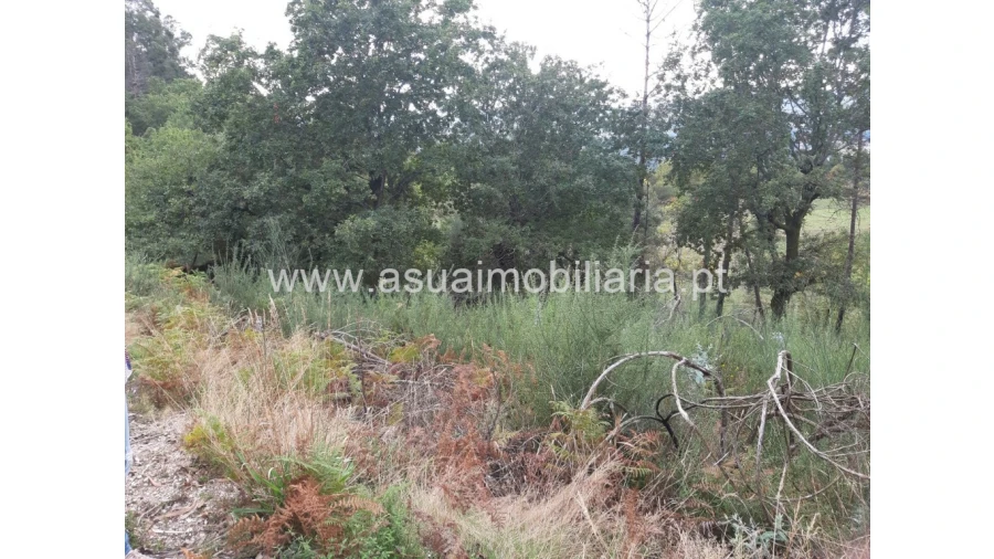 Terreno para Venda em Caldelas, Sequeiros e Paranhos Foto 8
