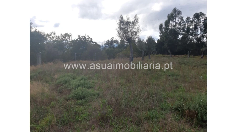 Terreno para Venda em Caldelas, Sequeiros e Paranhos Foto 26