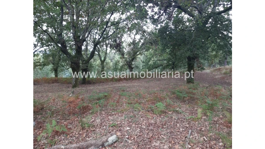 Terreno para Venda em Caldelas, Sequeiros e Paranhos Foto 17