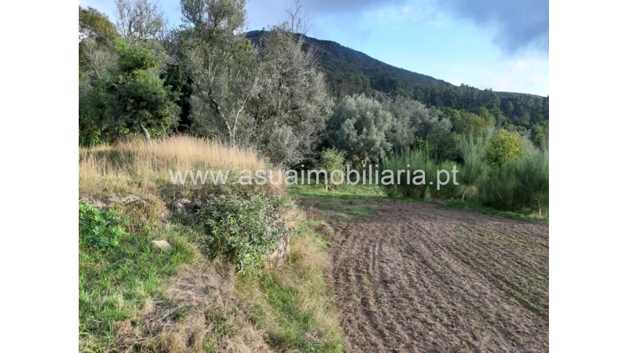 Terreno para Venda em Caldelas, Sequeiros e Paranhos Foto 39