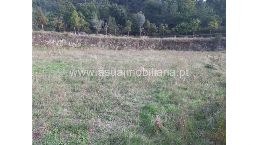 Terreno para Venda em Caldelas, Sequeiros e Paranhos Foto 35