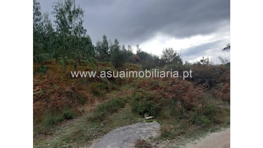 Terreno para Venda em Caldelas, Sequeiros e Paranhos Foto 2