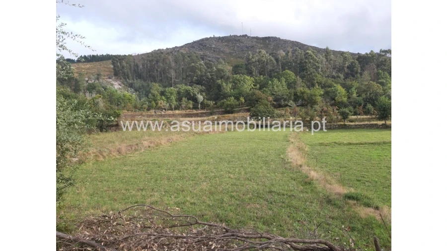 Terreno para Venda em Caldelas, Sequeiros e Paranhos Foto 28