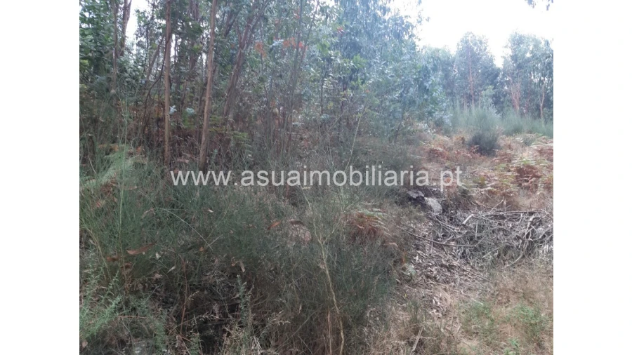 Terreno para Venda em Caldelas, Sequeiros e Paranhos Foto 21