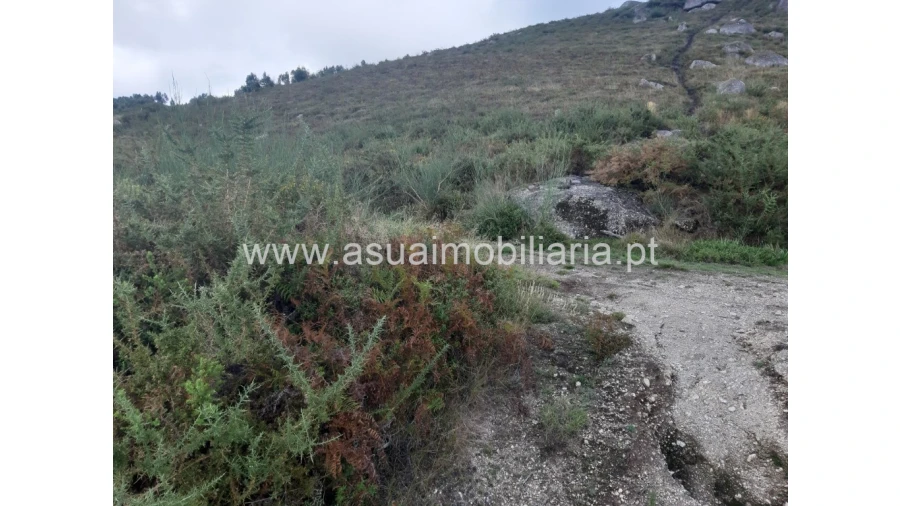 Terreno para Venda em Caldelas, Sequeiros e Paranhos Foto 5