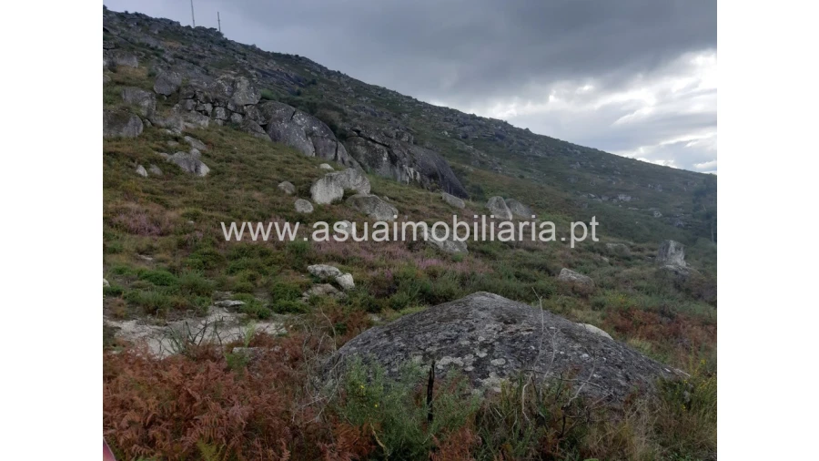 Terreno para Venda em Caldelas, Sequeiros e Paranhos Foto 6