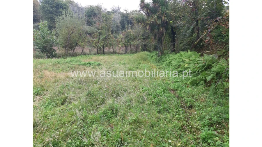 Terreno para Venda em Caldelas, Sequeiros e Paranhos Foto 22