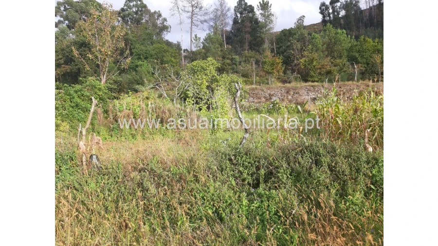Terreno para Venda em Caldelas, Sequeiros e Paranhos Foto 34