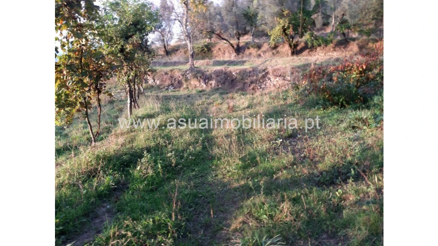 Terreno para Venda em Caldelas, Sequeiros e Paranhos Foto 42
