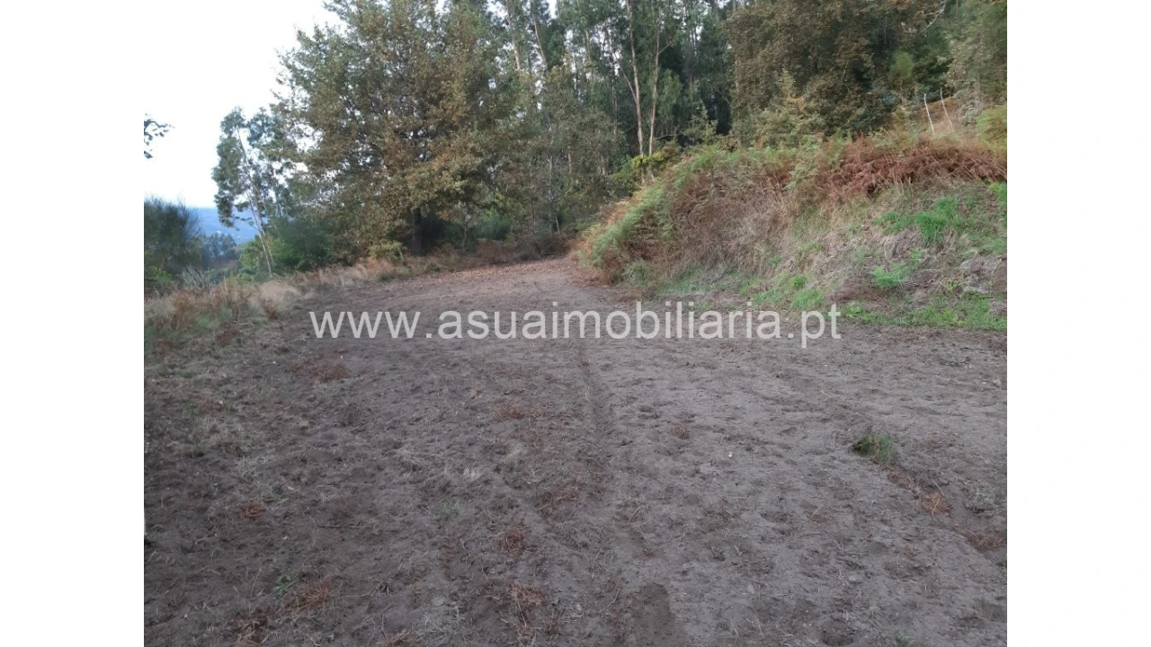 Terreno para Venda em Caldelas, Sequeiros e Paranhos Foto 33