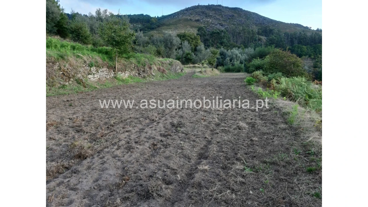 Terreno para Venda em Caldelas, Sequeiros e Paranhos Foto 32
