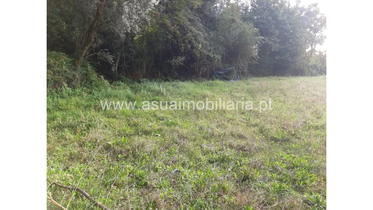Terreno para Venda em Caldelas, Sequeiros e Paranhos Foto 29