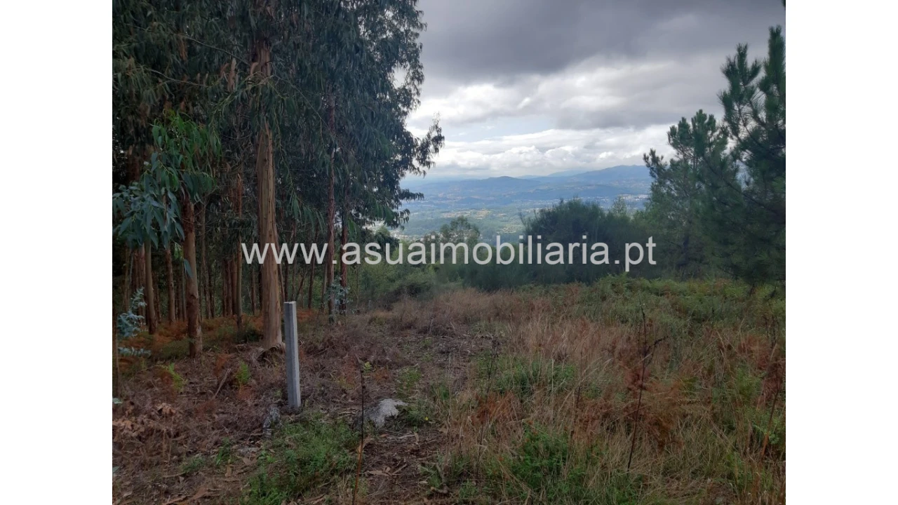 Terreno para Venda em Caldelas, Sequeiros e Paranhos Foto 19