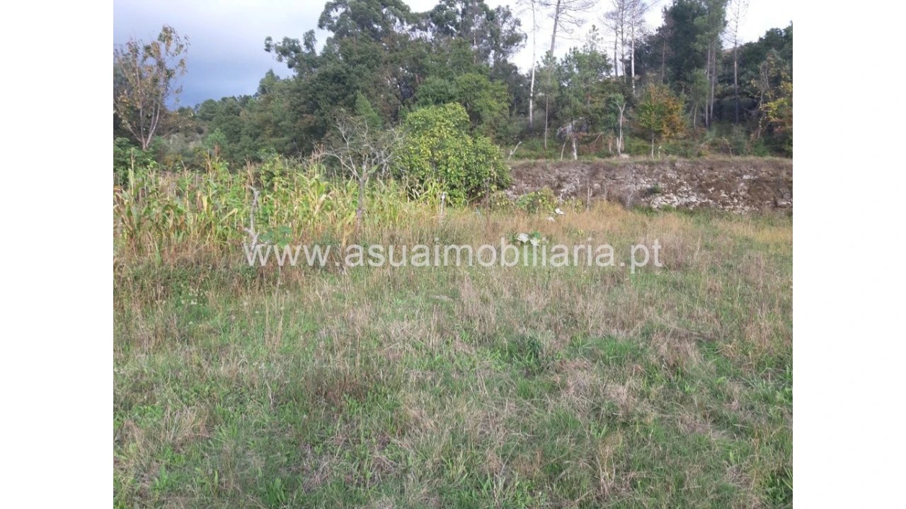 Terreno para Venda em Caldelas, Sequeiros e Paranhos Foto 36