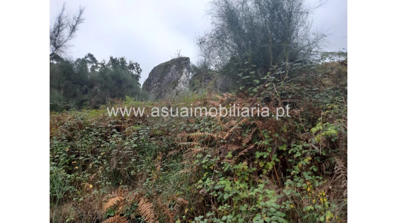 Terreno para Venda em Caldelas, Sequeiros e Paranhos Foto 14