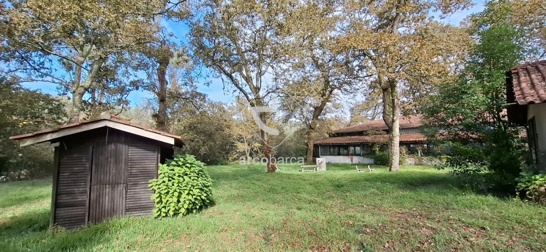 Negócio para Venda em Gemieira Foto 35