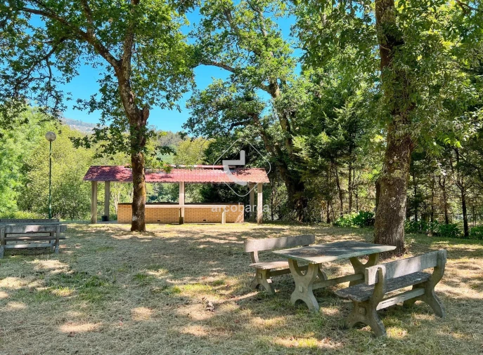 Negócio para Venda em Gemieira Foto 6