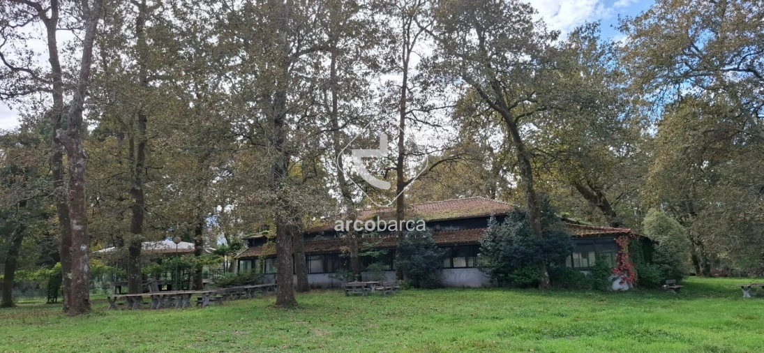 Negócio para Venda em Gemieira Foto 73