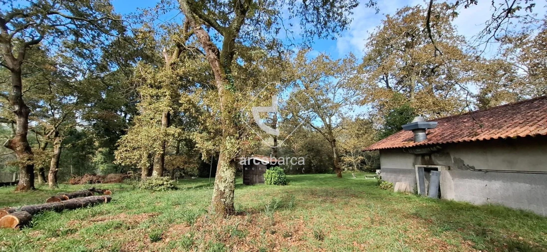 Negócio para Venda em Gemieira Foto 34