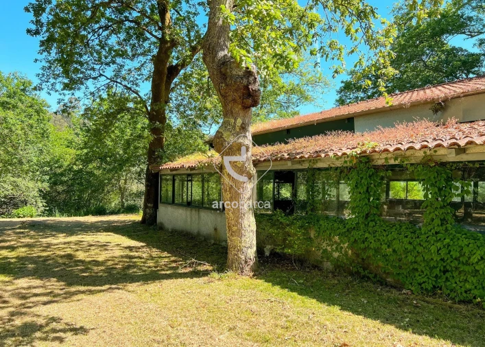 Negócio para Venda em Gemieira Foto 14