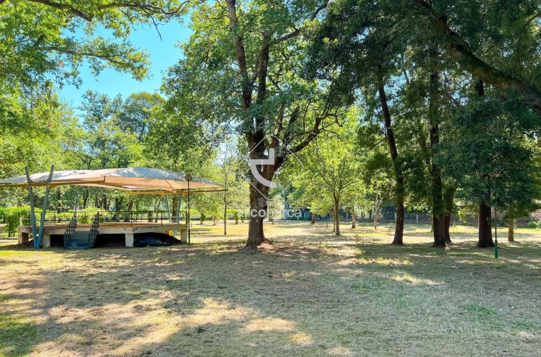 Negócio para Venda em Gemieira Foto 20