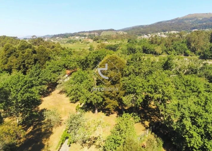 Negócio para Venda em Gemieira Foto 22