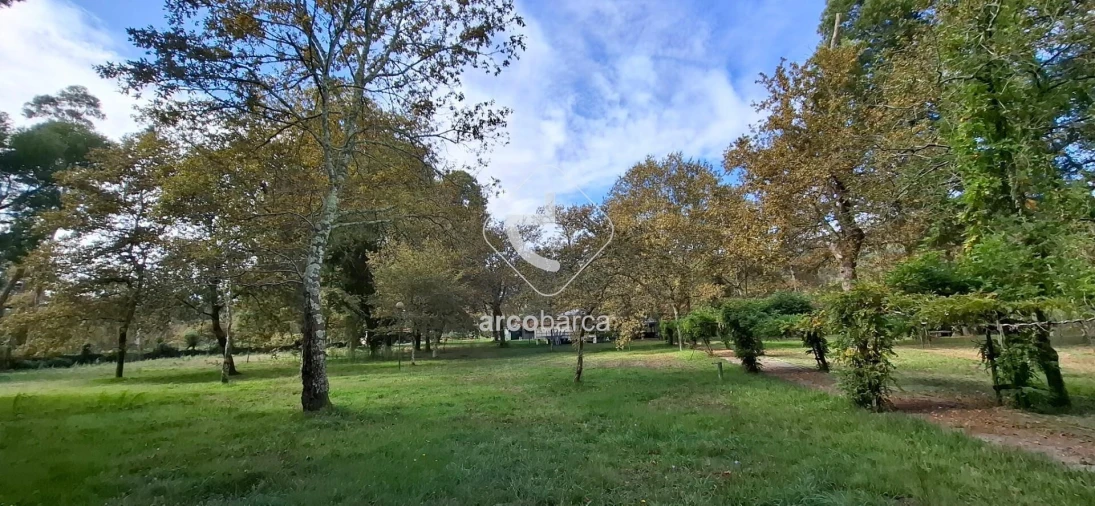 Negócio para Venda em Gemieira Foto 54