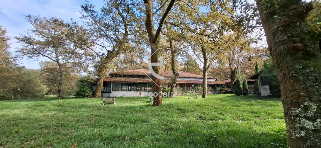 Negócio para Venda em Gemieira Foto 36