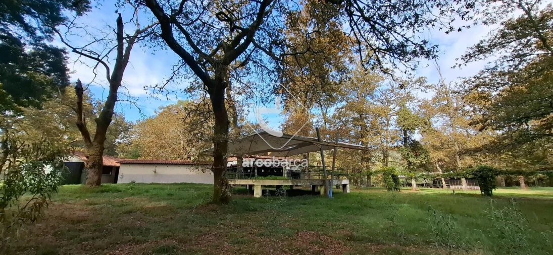 Negócio para Venda em Gemieira Foto 48