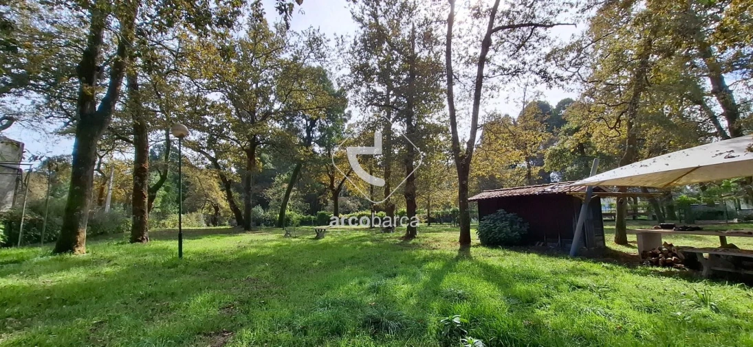 Negócio para Venda em Gemieira Foto 42