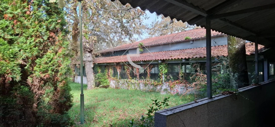 Negócio para Venda em Gemieira Foto 30