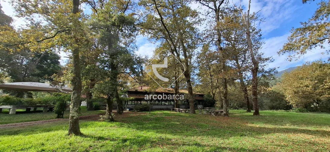 Negócio para Venda em Gemieira Foto 69