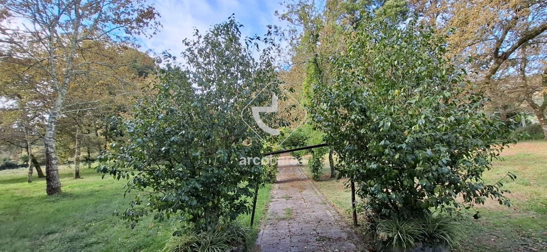 Negócio para Venda em Gemieira Foto 53