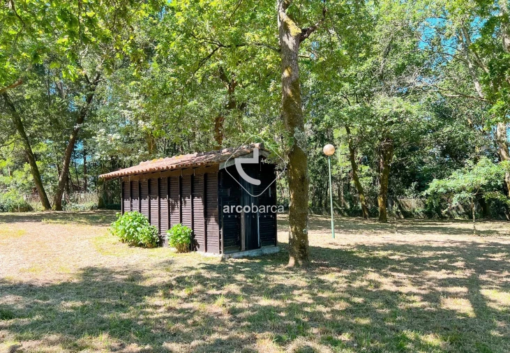 Negócio para Venda em Gemieira Foto 15