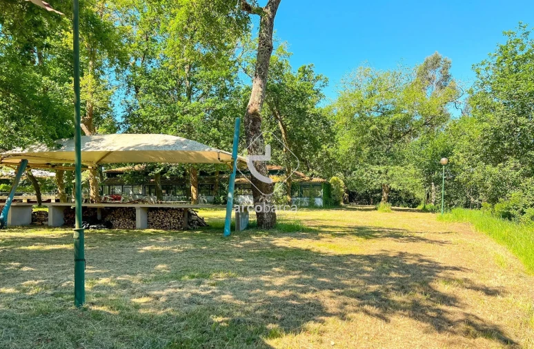 Negócio para Venda em Gemieira Foto 4