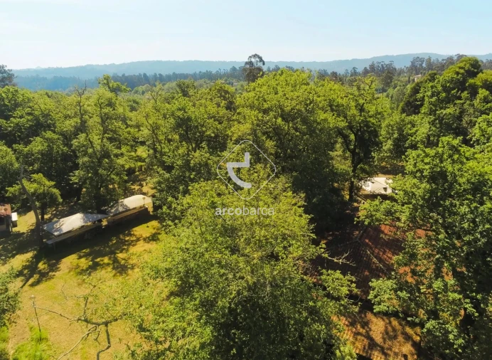 Negócio para Venda em Gemieira Foto 28