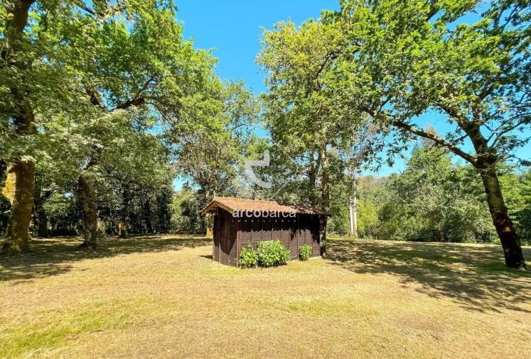 Negócio para Venda em Gemieira Foto 17